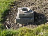 image of grave number 239698